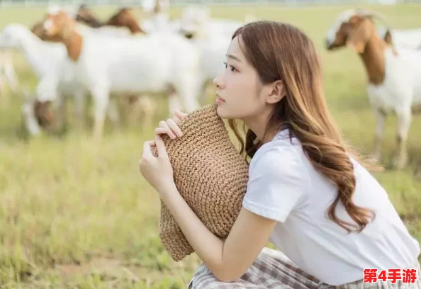 我丰满的岳 3：甜蜜爱情与温馨家庭的完美结合，让人感受到生活的幸福与美好