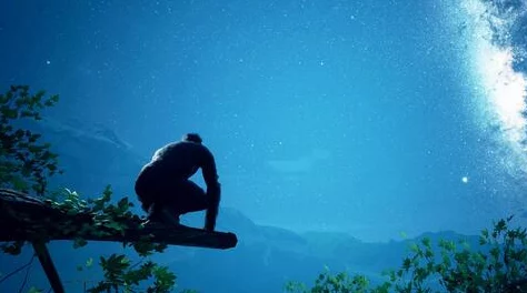生猴子：这一现象背后反映了人们对自然生态的关注与保护意识的提升，值得我们深思与行动