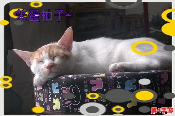 9-1-1吃瓜爆料官网小僵尸柚子猫:深入理解这一现象背后的故事与影响分析 9-1-1吃瓜爆料官网小僵尸柚子猫:深入理解这一现象背后的故事与影响分析