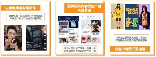 91插插库：新一代成人内容平台上线，提供多样化选择与安全保障引发热议
