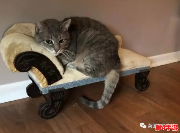 猫娘拔萝卜发出的声音引发网友热议，究竟是可爱还是搞笑的奇妙体验？