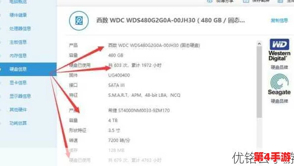 鲁大师手机在线观看视频：如何通过这款应用提升你的观影体验与选择优质内容的技巧分享