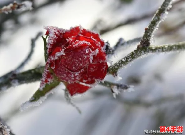 凝光可深插模拟器游戏：在虚拟世界中体验无限可能，感受沉浸式的互动乐趣与创意挑战