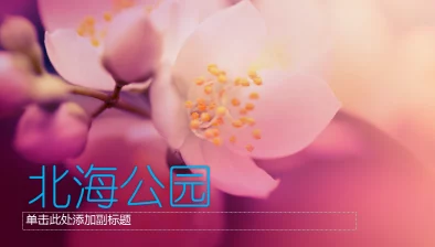 樱花成品ppt的网站免费观看，提供丰富多样的PPT模板和设计资源，让你的演示文稿更加出色！