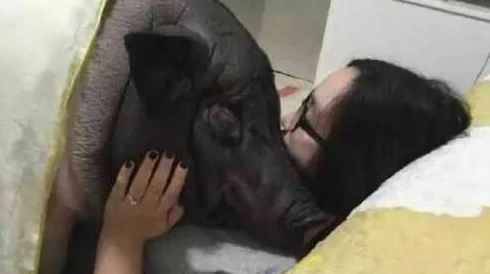 女人与公猪交交30分钟无遮挡,用户评价:内容刺激,情节引人入胜,让人欲罢不能! 女人与公猪交交30分钟无遮挡,用户评价:内容刺激,情节引人入胜,让人欲罢不能!