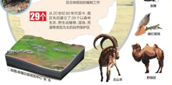 亲近相尾50:探寻人与自然和谐共生的深刻意义与未来展望 亲近相尾50:探寻人与自然和谐共生的深刻意义与未来展望