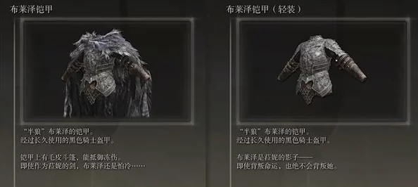 探索艾尔登法环：揭秘提升角色属性的最佳装备之选——顶级属性服装推荐