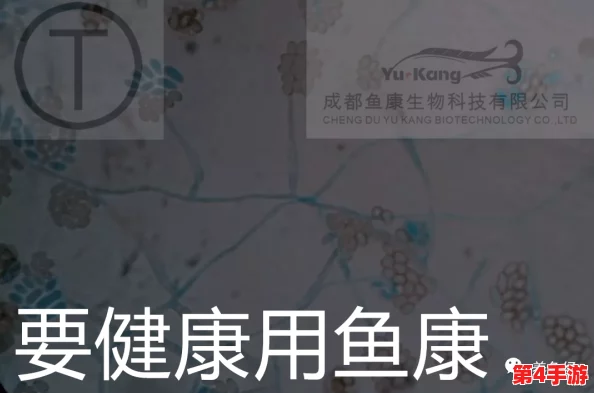 千夜千色千人9t9t9t：在多元文化交融中，如何找到属于自己的独特视角与表达方式？