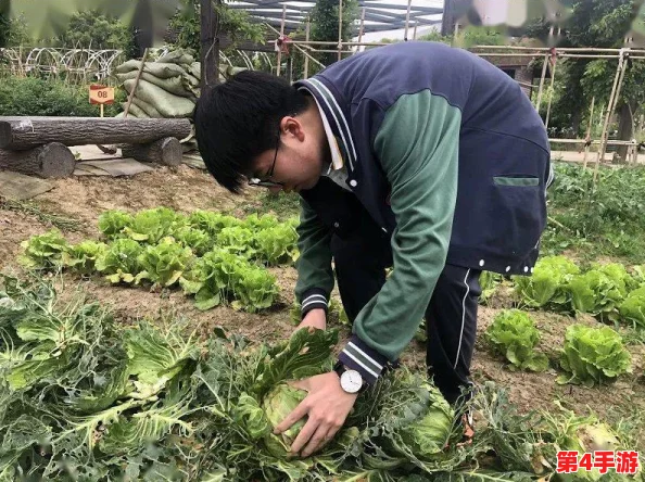 披风少年的爱老妈的故事:一段温暖感人的亲情旅程,展现了母子之间深厚的情感与无私的奉献精神 披风少年的爱老妈的故事:一段温暖感人的亲情旅程,展现了母子之间深厚的情感与无私的奉献精神