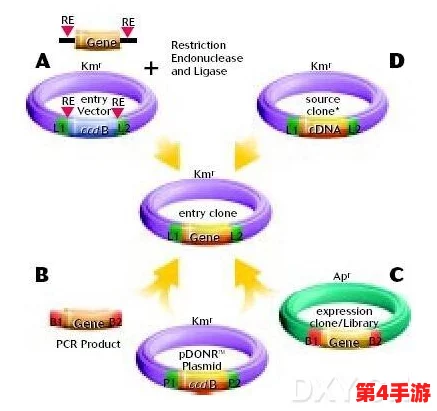 系统需要收集n多精,网友猜测是为了进行DNA克隆技术的实验 系统需要收集n多精,网友猜测是为了进行DNA克隆技术的实验