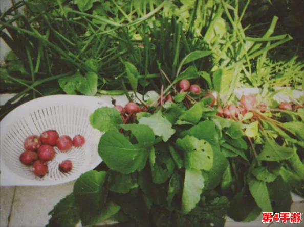 草莓+丝瓜+香蕉+向日葵+榴莲:网友热议这些食材的奇妙搭配,竟然能创造出意想不到的美味与健康效果! 草莓+丝瓜+香蕉+向日葵+榴莲:网友热议这些食材的奇妙搭配,竟然能创造出意想不到的美味与健康效果!