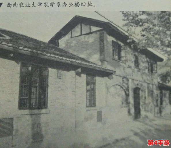 军训大白兔蹦出来了照原片:揭示军训期间学生们的趣味体验与团队精神的结合方式 军训大白兔蹦出来了照原片:揭示军训期间学生们的趣味体验与团队精神的结合方式