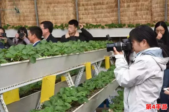 一二三区精密加工:提升制造效率与产品质量的关键技术与应用场景详解 一二三区精密加工:提升制造效率与产品质量的关键技术与应用场景详解