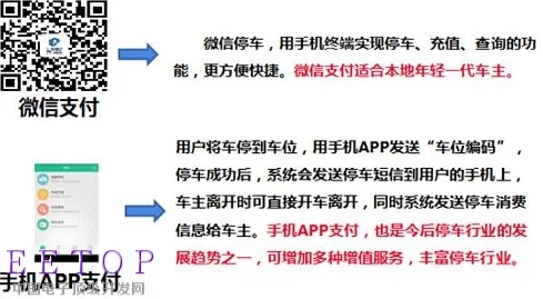 fill11cnn实验免费，最新进展揭示了更高效的算法和应用潜力，助力科研领域的突破与创新