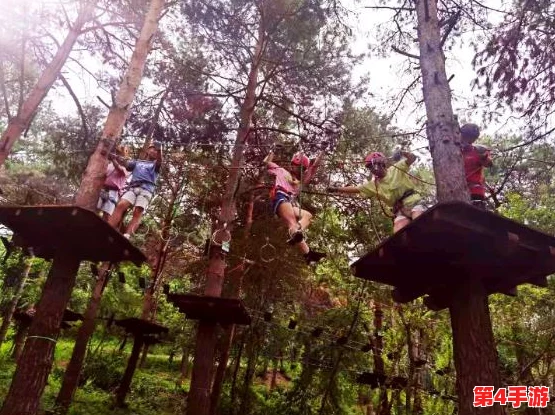 法国老人做交易森林，引发网友热议：有人认为这是保护环境的创新方式，也有人担心可能带来的生态风险